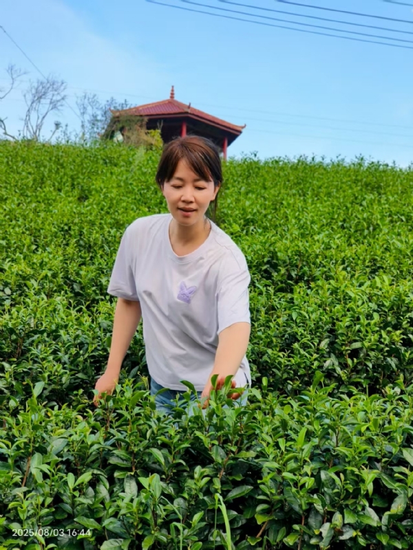 Q绮芳的第一张照片--连江征婚网